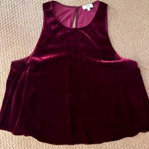 Aritzia Velvet Top